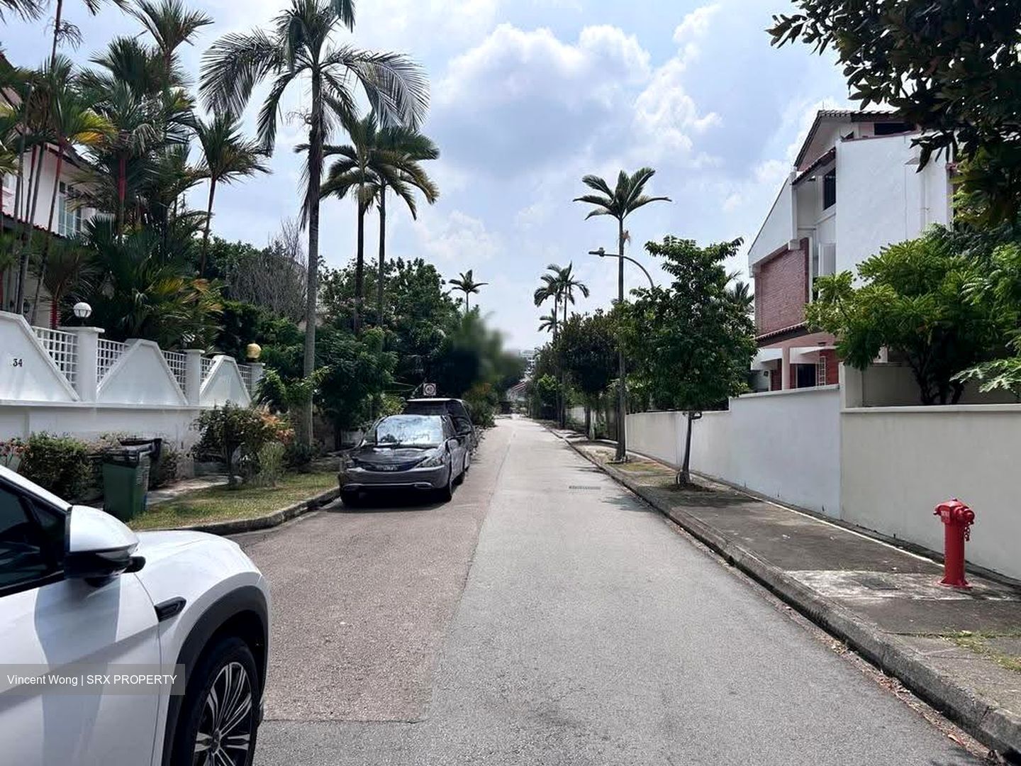 Serangoon Garden Estate (D19), Semi-Detached #610350371